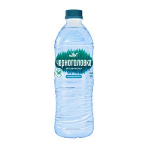 Вода Черноголовка (негазированная) 0.5л